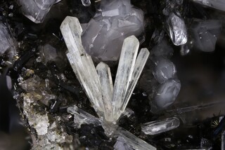 Deutschland/Rheinland-Pfalz/Mayen-Koblenz-Kreis/Mendig, Verbandsgemeinde/In den Dellen (Grube Zieglowski)