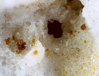 Deutschland/Rheinland-Pfalz/Mayen-Koblenz-Kreis/Vordereifel, Verbandsgemeinde/Ettringen/Bellerberg/Ettringer Bellerberg (Stbr. Caspar)