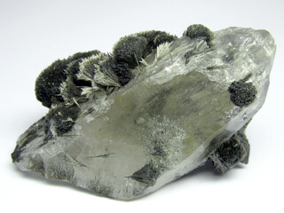 USA/Washington/King County/North Bend/Bald Hornet Claim (Blue Mountain Saddle)