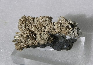 Mexiko/Chihuahua, Estado/Batopilas, Municipio/Andres del Rio, Distrikt/Batopilas/Cerro San Antonio/San Miguel/New Nevada Mine (Nueva Nevada Mine)