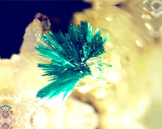 Deutschland/Bayern/Oberpfalz, Bezirk/Tirschenreuth, Landkreis/Pullenreuth, Gemeinde/Dechantsees, Ortsteil/Kalkhaus (Kalkhäusel)