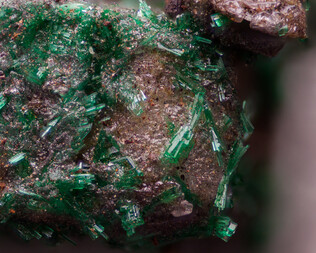 Spanien/Andalusien (Andalucía)/Almería, Provinz/Metropolitana de Almería, Comarca/Rioja, Municipio/Mina Felisa