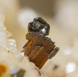 Österreich/Salzburg/Zell am See, Bezirk (Pinzgau)/Bramberg am Wildkogel, Gemeinde/Habach, Katastralgemeinde/Habachtal/Leiterkogel/Teufelsmühle