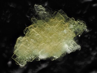 Spanien/Andalusien (Andalucía)/Almería, Provinz/Metropolitana de Almería, Comarca/Pechina, Municipio/Mina El Descuido