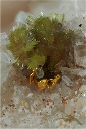 Mexiko/Sonora, Estado/Cucurpe, Municipio/Cucurpe/Cerro Prieto/San Francisco Mine