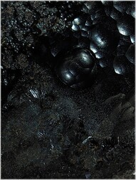 Deutschland/Saarland/St. Wendel, Landkreis/Heisterberg