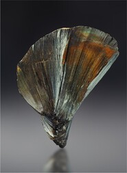 Deutschland/Rheinland-Pfalz/Kusel, Landkreis/Lauterecken-Wolfstein, Verbandsgemeinde/Aschbach, Ortsgemeinde/Aschbacher Grube (Barytgrube am Hahnen-Kopf)