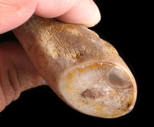 USA/Washington/Yakima River Canyon