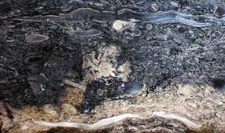 USA/Washington/Yakima County/Sunnyside