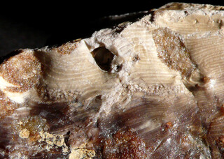 Ukraine/Luhansk, Oblast (Luganskaja oblast)/Nowopskow, Rajon/Nowopskow/Sandgruben