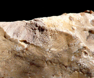 Ukraine/Luhansk, Oblast (Luganskaja oblast)/Nowopskow, Rajon/Nowopskow/Sandgruben