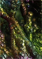 Deutschland/Bayern/Oberpfalz, Bezirk/Tirschenreuth, Landkreis/Leonberg, Gemeinde/Pfaffenreuth, Ortsteil/Grube Bayerland