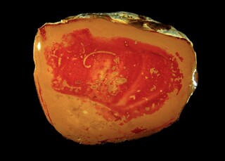 Deutschland/Baden-Württemberg/Freiburg, Bezirk/Breisgau-Hochschwarzwald, Landkreis/Auggen/Bohnerzabbau Auggen