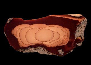 USA/Idaho/Owyhee County/Bruneau Valley District/Bruneau Canyon