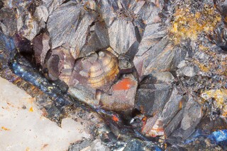 Deutschland/Bayern/Oberfranken, Bezirk/Hof, Landkreis/Köditz, Gemeinde/Siebenhitz, Ortsteil/Erzgang Siebenhitz