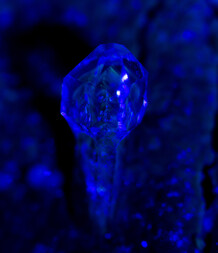 Frankreich/Provence-Alpes-Côte d'Azur, Région/Hautes-Alpes, Département/Gap, Arrondissement/Orpierre/Ste Colombe