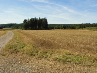 Deutschland/Bayern/Oberfranken, Bezirk/Wunsiedel im Fichtelgebirge, Landkreis/Wunsiedel, Stadtgemeinde/Göpfersgrün, Ortsteil/Otterbühl