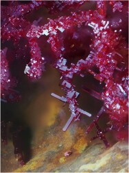 USA/Arizona/Pinal County/Mineral Creek District/Ray/Ray Mine