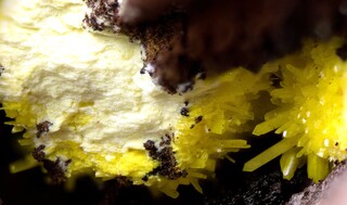 Deutschland/Sachsen/Vogtlandkreis/Neuensalz/Mechelgrün