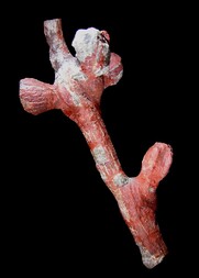 USA/Utah/Grand County/Yellow Cat District