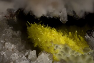 Deutschland/Sachsen/Vogtlandkreis/Neuensalz/Mechelgrün