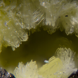 Tschechien/Karlovarský kraj (Karlsbad)/Sokolov, Okres (Falkenau)/Horní Slavkov, Obec (Schlaggenwald, Gemeinde)/Uran-Distrikt