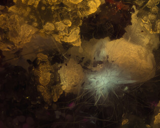 Namibia/Khomas, Region/Windhoek-Land, Kreis/Aris/Aris-Steinbrüche (Ariskop Quarry; Railway Quarry)