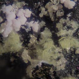 Tschechien/Karlovarský kraj (Karlsbad)/Sokolov, Okres (Falkenau)/Horní Slavkov, Obec (Schlaggenwald, Gemeinde)/Uran-Distrikt