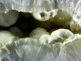 Deutschland/Rheinland-Pfalz/Vulkaneifel, Landkreis/Gerolstein, Verbandsgemeinde/Hillesheim/Zilsdorf/Arensberg