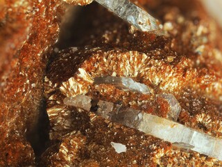 Deutschland/Baden-Württemberg/Freiburg, Bezirk/Rottweil, Landkreis/Schenkenzell, Gemeinde/Kaltbrunn, Ortsteil/Wittichen/Schmiedestollenhalde