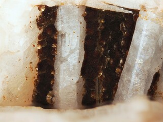 Deutschland/Baden-Württemberg/Freiburg, Bezirk/Rottweil, Landkreis/Schenkenzell, Gemeinde/Kaltbrunn, Ortsteil/Wittichen/Schmiedestollenhalde