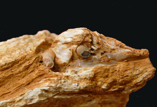 Österreich/Burgenland/Oberwart, Bezirk/Kohfidisch, Gemeinde/Kohfidisch, Katastralgemeinde/Csaterberge