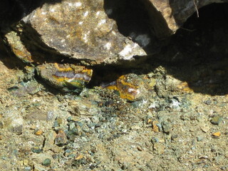 Bulgarien/Kardschali Oblast/Vishegrad