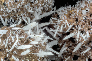 Deutschland/Rheinland-Pfalz/Ahrweiler, Landkreis/Bad Breisig, Verbandsgemeinde/Brohl-Lützing, Gemeinde/Niederlützingen/Leilenkopf