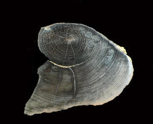 Deutschland/Sachsen/Leipzig, Landkreis/Espenhain