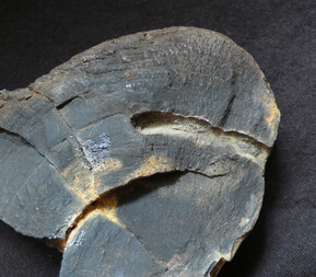 Deutschland/Sachsen/Leipzig, Landkreis/Espenhain