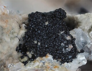 Deutschland/Rheinland-Pfalz/Donnersbergkreis/Kirchheimbolanden, Verbandsgemeinde/Bolanden, Gemeinde/Giro am Mannbühl