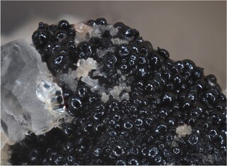 Deutschland/Rheinland-Pfalz/Donnersbergkreis/Kirchheimbolanden, Verbandsgemeinde/Bolanden, Gemeinde/Giro am Mannbühl