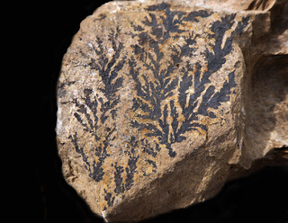 Deutschland/Thüringen/Saalfeld-Rudolstadt, Landkreis/Unterwellenborn, Gemeinde/Kamsdorf, Ortsteil/Großtagebau Kamsdorf