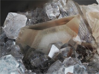 Deutschland/Rheinland-Pfalz/Donnersbergkreis/Kirchheimbolanden, Verbandsgemeinde/Bolanden, Gemeinde/Giro am Mannbühl