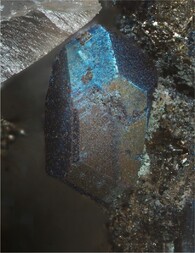 Deutschland/Rheinland-Pfalz/Donnersbergkreis/Kirchheimbolanden, Verbandsgemeinde/Bolanden, Gemeinde/Giro am Mannbühl