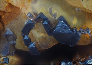 Deutschland/Rheinland-Pfalz/Donnersbergkreis/Kirchheimbolanden, Verbandsgemeinde/Bolanden, Gemeinde/Giro am Mannbühl