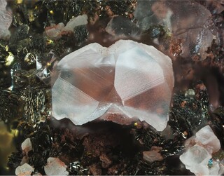 Deutschland/Rheinland-Pfalz/Donnersbergkreis/Kirchheimbolanden, Verbandsgemeinde/Bolanden, Gemeinde/Giro am Mannbühl