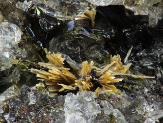 Deutschland/Rheinland-Pfalz/Vulkaneifel, Landkreis/Daun/Üdersdorf/Löhley