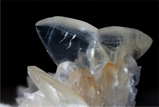 Deutschland/Rheinland-Pfalz/Donnersbergkreis/Kirchheimbolanden, Verbandsgemeinde/Bolanden, Gemeinde/Giro am Mannbühl