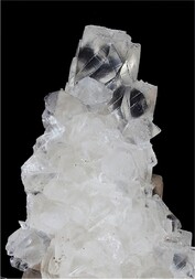 Deutschland/Rheinland-Pfalz/Donnersbergkreis/Kirchheimbolanden, Verbandsgemeinde/Bolanden, Gemeinde/Giro am Mannbühl