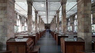 UK/England/Greater London/London, City/Natural History Museum