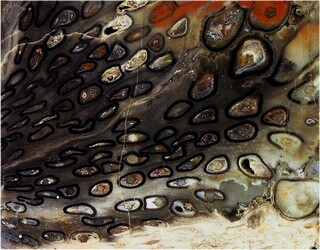 Deutschland/Sachsen/Chemnitz/Hilbersdorf