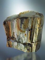 Griechenland/Nördliche Ägäis/Lesvos (Lesbos), Bezirk/Lesbos, Insel