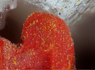 Schweiz/Wallis, Kanton/Goms, Bezirk/Binntal/Binn/Fäld (Imfeld, Im Feld)/Grube Lengenbach